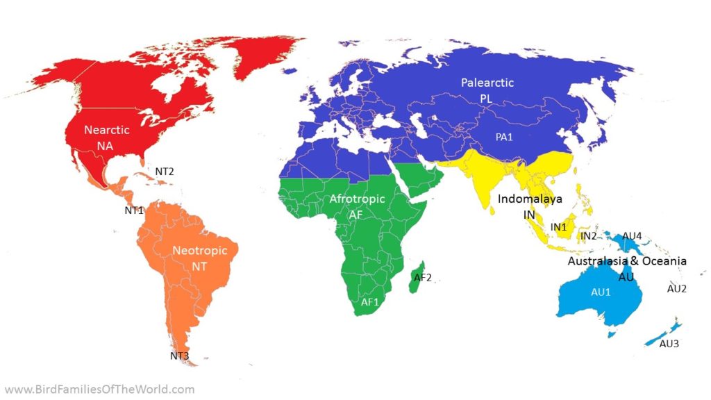 Club form by regions – Bird Families of the World